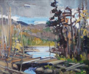 Paysage – Lac en forêt