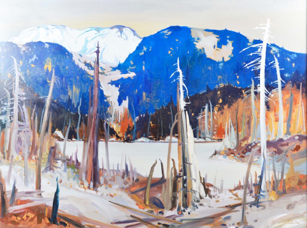 Brûlés dans la réserve faunique des Laurentides