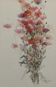 Pavots d&rsquo;Islande