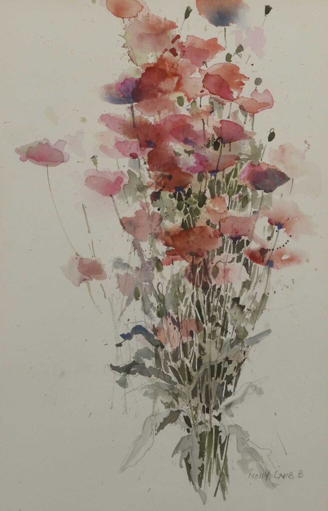 Pavots d&rsquo;Islande