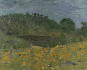 Prairie aux fleurs jaunes